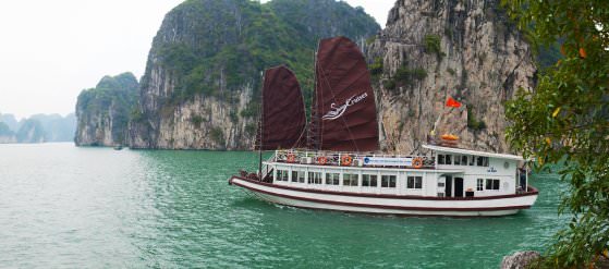 DU THUYỀN SWAN 1 NGÀY : Tour du thuyền hạ long 1 ngày sang trọng + Bái Tử Long
